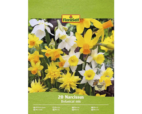 FLORASELF Bloembollen Narcis Narcissus 25 Stuks