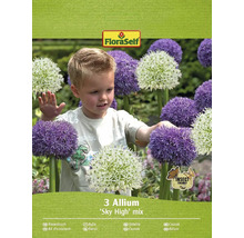 Verpakking met drie Allium ''Sky High'' Mix bloembollen