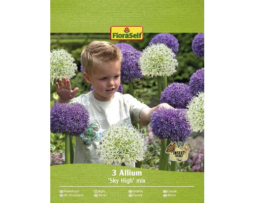 FLORASELF Bloembollen Sierui Allium 35 Stuks