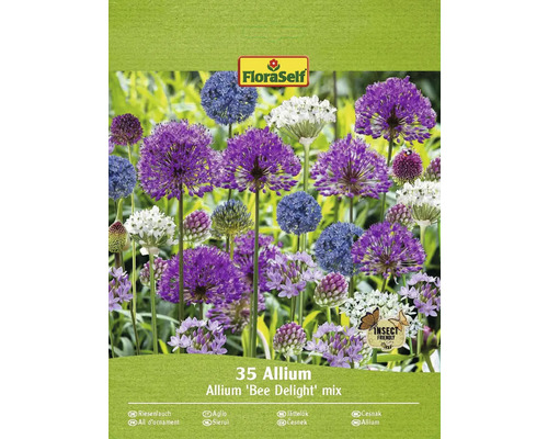 FLORASELF Bloembollen Sierui Allium 5 Stuks