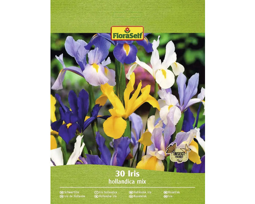 FLORASELF Bloembollen Iris Hollandse iris 10 Stuks