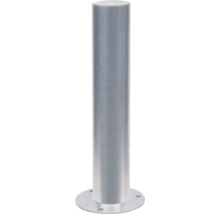 Metalen paal met montageplaat