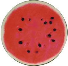 Aangesneden watermeloen met pitten