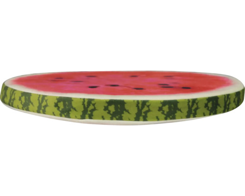 Watermeloenschijf met pitten