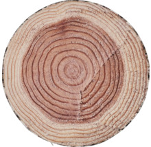 Boomstam schijf met jaarringen