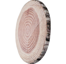 Boomstam schijf met jaarringen