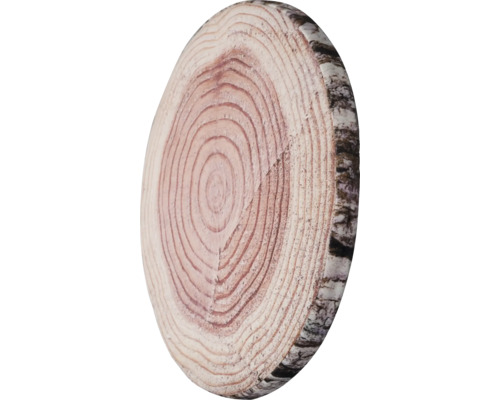 Boomstam schijf met jaarringen