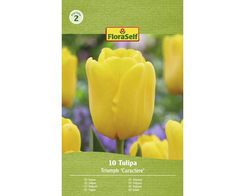 FLORASELF Bloembollen Tulpen Tulipa 10 Stuks