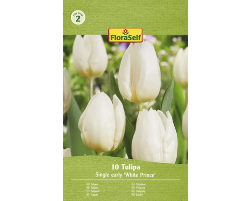 FLORASELF Bloembollen Tulpen Tulipa 5 Stuks