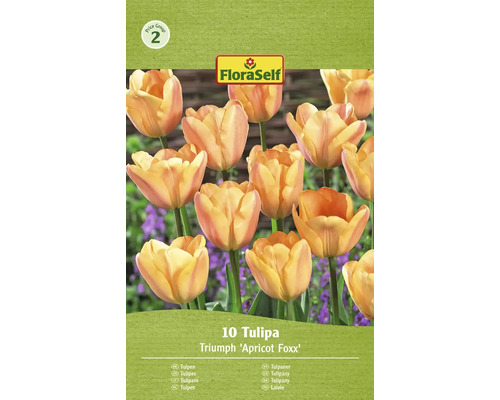 FLORASELF Bloembollen Tulpen Tulipa 12 Stuks