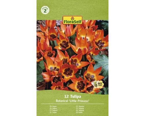 FLORASELF Bloembollen Tulpen Tulipa 5 Stuks