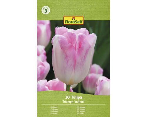 FLORASELF Bloembollen Tulpen Tulipa 5 Stuks