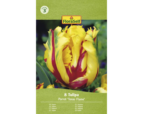 FLORASELF Bloembollen Tulpen Tulipa 5 Stuks