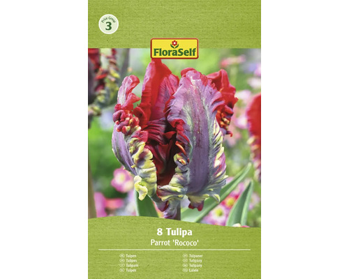 FLORASELF Bloembollen Tulpen Tulipa 6 Stuks