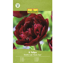Verpakking met acht tulpen van de soort Double Late Uncle Tom