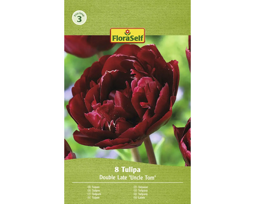 FLORASELF Bloembollen Tulpen Tulipa 6 Stuks