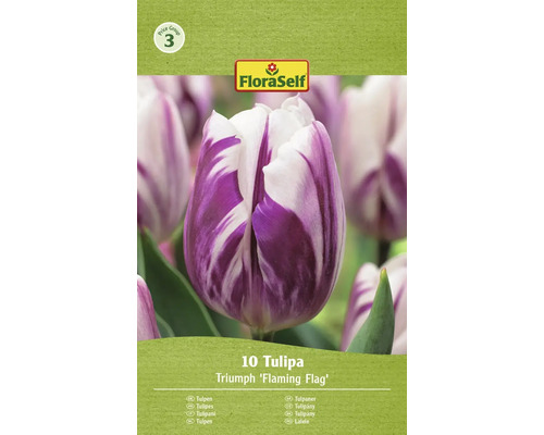 FLORASELF Bloembollen Tulpen Tulipa 15 Stuks