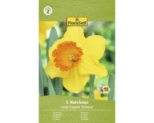 FLORASELF Bloembollen Narcis Narcissus 12 Stuks