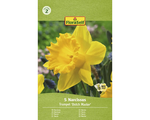 FLORASELF Bloembollen Narcis Narcissus 15 Stuks