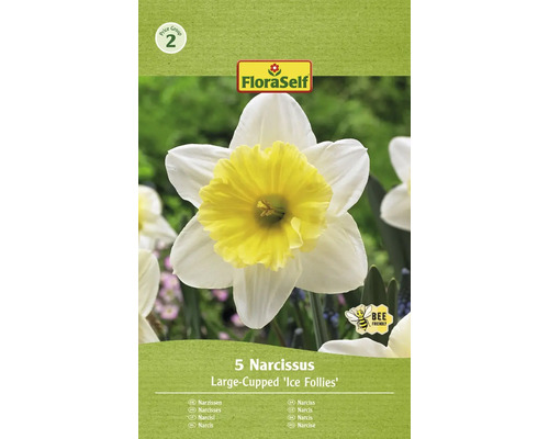 FLORASELF Bloembollen Narcis Narcissus 8 Stuks