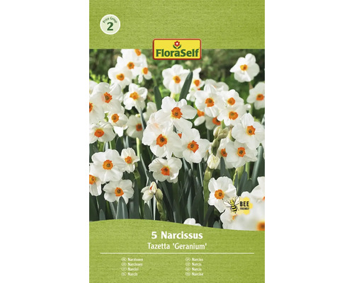 FLORASELF Bloembollen Narcis Narcissus 10 Stuks