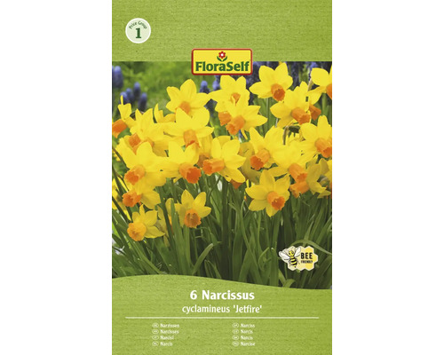 FLORASELF Bloembollen Narcis Narcissus 12 Stuks