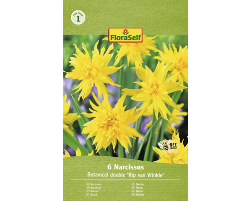 FLORASELF Bloembollen Narcis Narcissus 5 Stuks