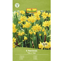 Verpakking narcissenbollen van de soort Tête à Tête met zes stuks, FloraSelf logo en bijvriendelijk symbool