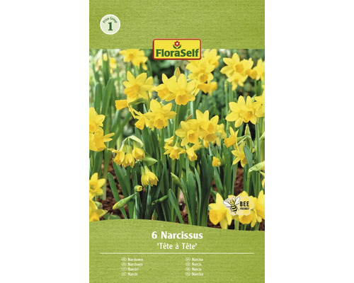 FLORASELF Bloembollen Narcis Narcissus 33 Stuks