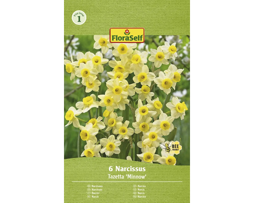 FLORASELF Bloembollen Narcis Narcissus 12 Stuks