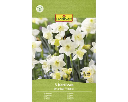 FLORASELF Bloembollen Narcis Narcissus 12 Stuks