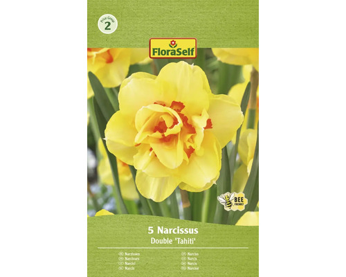 FLORASELF Bloembollen Narcis Narcissus 8 Stuks