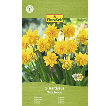 Verpakking narcissen Tête Bouclé, bijvriendelijk