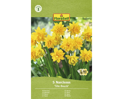 FLORASELF Bloembollen Narcis Narcissus 15 Stuks