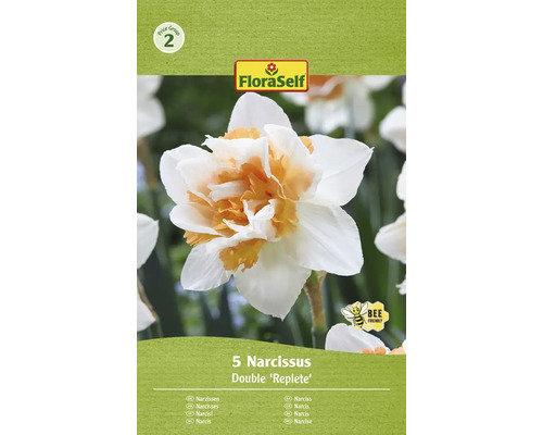 FLORASELF Bloembollen Narcis Narcissus 10 Stuks