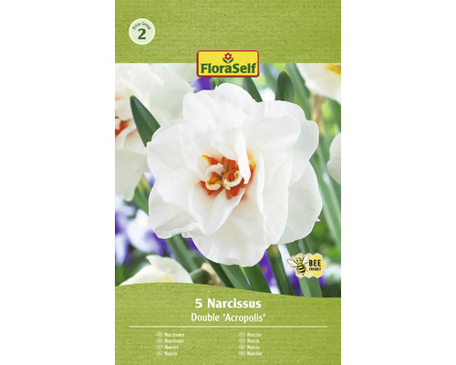 FLORASELF Bloembollen Narcis Narcissus 5 Stuks