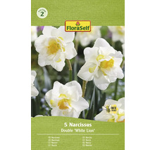 Verpakking met 5 narcissen van de soort Double White Lion