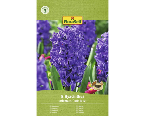 FLORASELF Bloembollen Hyacint Hyacinthus 10 Stuks