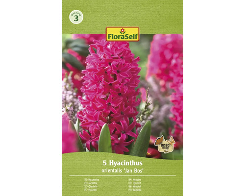 FLORASELF Bloembollen Hyacint Hyacinthus 20 Stuks