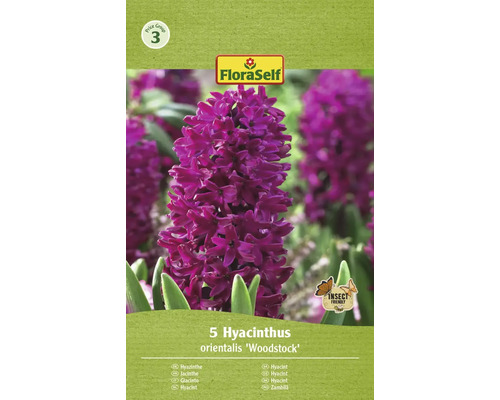 FLORASELF Bloembollen Hyacint Hyacinthus 10 Stuks