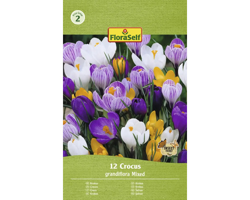 FLORASELF Bloembollen Krokus Crocus 12 Stuks