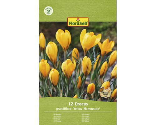 FLORASELF Bloembollen Krokus Crocus 5 Stuks