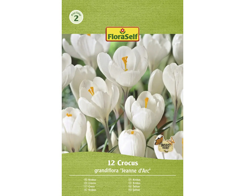 FLORASELF Bloembollen Krokus Crocus 5 Stuks