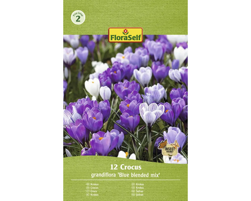 FLORASELF Bloembollen Krokus Crocus 30 Stuks