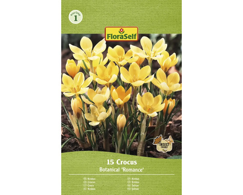 FLORASELF Bloembollen Krokus Crocus 8 Stuks