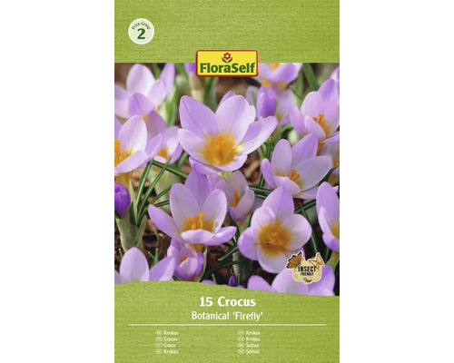 FLORASELF Bloembollen Krokus Crocus 12 Stuks