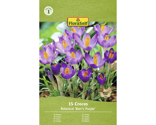 FLORASELF Bloembollen Krokus Crocus 10 Stuks