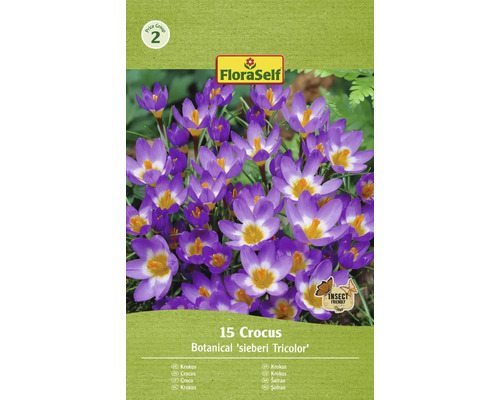 FLORASELF Bloembollen Krokus Crocus 12 Stuks