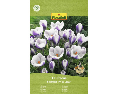 Verpakking met 12 krokusbollen van de soort Botanical Prins Claus