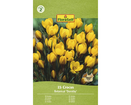 FLORASELF Bloembollen Krokus Crocus 12 Stuks